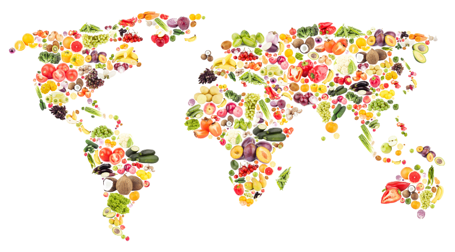 world food