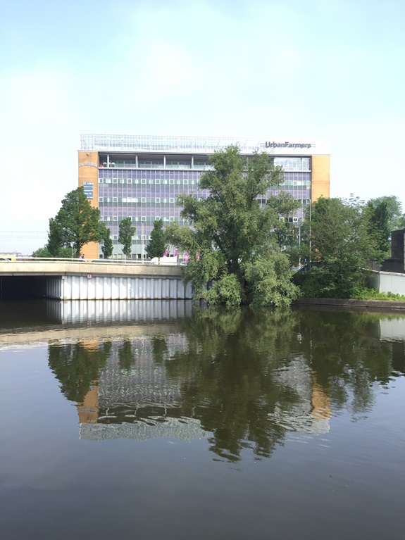 AVAG_Valk Kleijn_Urban Farming de Schilde.jpg