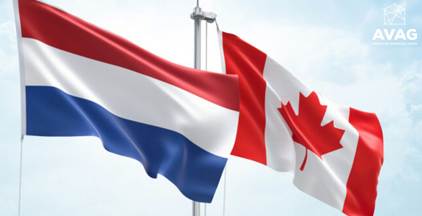 NL Canada 2.jpg