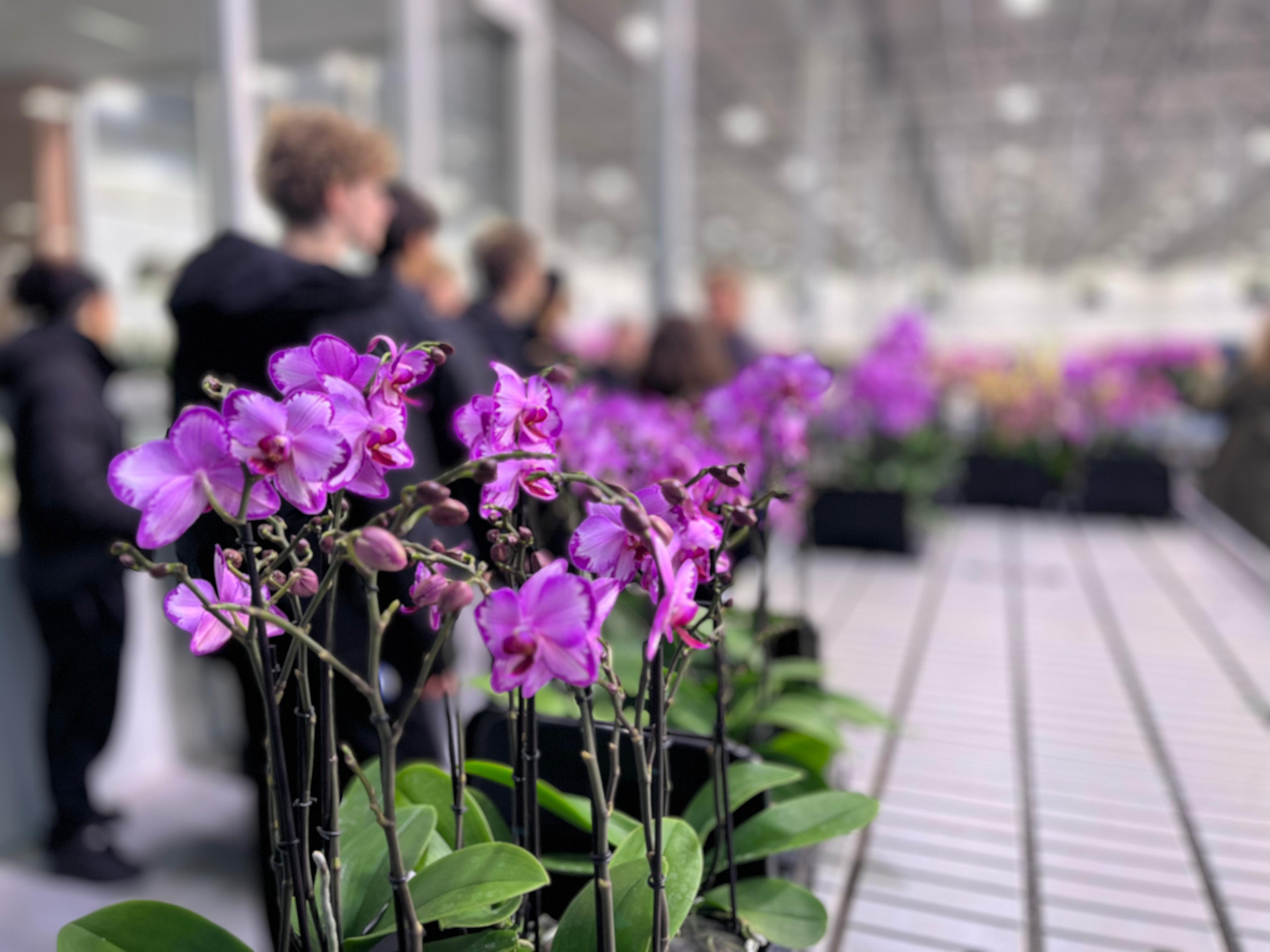 CollegeTour ROC Mondriaan 11 november 2025 (5).JPG